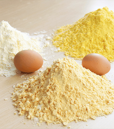 Egg Powders